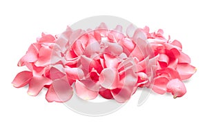 Pile of fresh pink rose petals on background