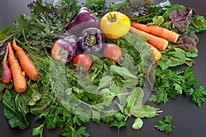 A pile of fresh produce including carrots, peppers, tomatoes, dill, parsley and sorrel.