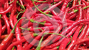 Pile of fresh red chili peppers