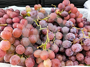 Pile of fresh red grapes
