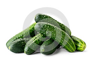 Pile of fresh ripe cucumbers close-up on a white background. Isolated