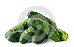 Pile of fresh ripe cucumbers close-up on a white background. Isolated photo