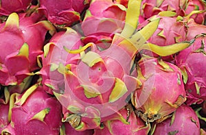 Pile of Fresh Dragon Fruits Pitaya For Sale on the Market