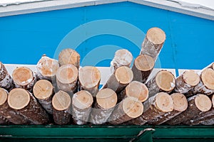 Pile of fresh sawn pine logs is lying on green rack on blue industrial building background in winter.