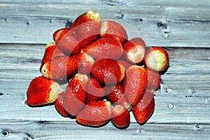 Pile of fresh strawberries fruit, the garden strawberry is a widely grown hybrid species of the genus Fragaria ananassa with its