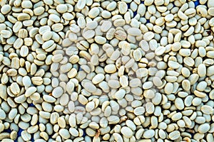 Pile of fresh unroasted arabica coffee bean.