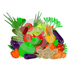Pile of fresh vegetables isolated on white background. photo