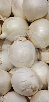 A pile of fresh white onions