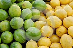 Pile of Fresh Yellow Lemons and Green Limes at Farmer's Market