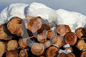 Pile of freshly cut wood logs the top covered with snow