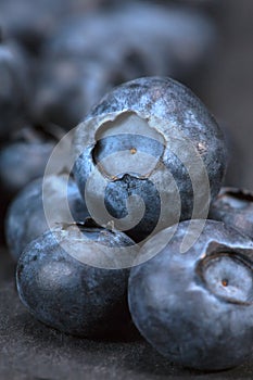 Pile of freshly picked blueberries