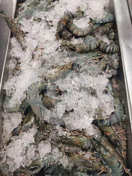 Pile of freshwater tiger prawn on ice