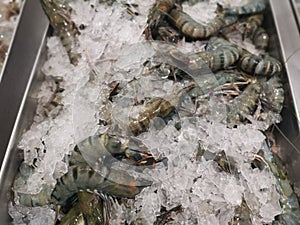 Pile of freshwater tiger prawn on ice