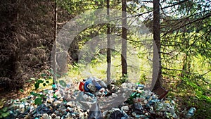 Pile of garbage in coniferous woods.