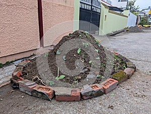 Pile of Garden Soil for Backyard Gardening in Dehradun photo