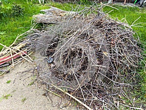 Pile of garden waste to burn in the garden