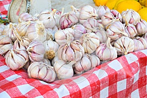 a pile of garlic shoots used in spanish and catalan cuisine photo