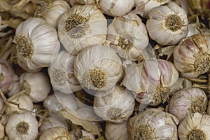 A pile of garlics
