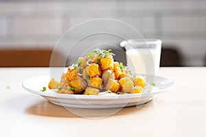 pile of golden tater tots on a white plate