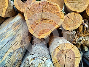 pile of good quality wood roock