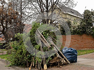 A pile of graden debris in front of a house in a residential area