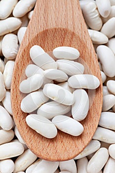 Pile Great Northern Beans in wooden spoon background.