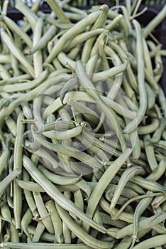 A pile of green beans in a box photo