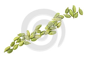 Pile of green cardamom seeds isolated on white background. Dried cardamom seeds