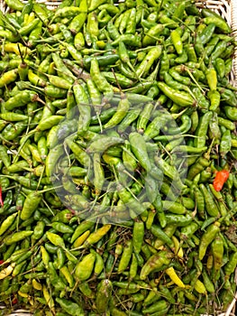 A pile of green chilies on display at a supermarket.
