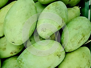 Pile of green fresh mangoes