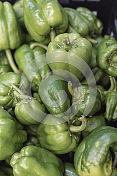 A pile of green peppers in a box photo
