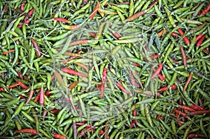 Pile of green and red chili peppers