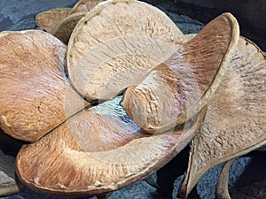 A pile of hard dried fungus