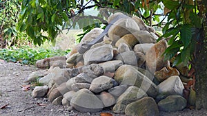 Pile of hard and strong stones