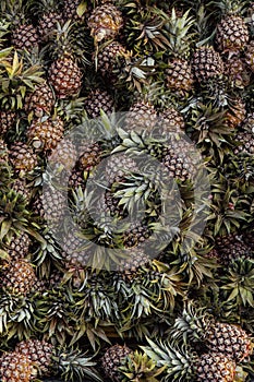 Pile of Hawaiian pineapples top down