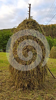 Pile of hay