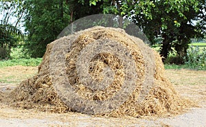 A pile of hay