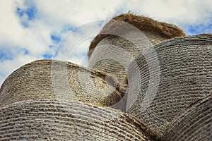 Pile of hay bales on the field at sunny day. Detail view of big rolled haystack. Close up of round hay rolls on meadow