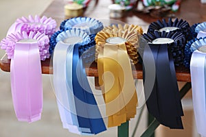 Pile of horse riding ribbons and trophy awards. Group of beautiful colorful trophies