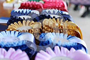 Pile of horse riding ribbons and trophy awards. Group of beautiful colorful trophies