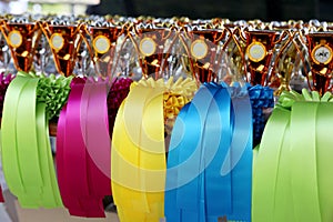 Pile of horse riding ribbons and trophy awards. Group of beautiful colorful trophies