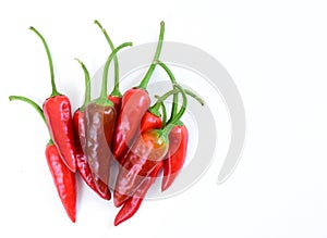 Pile of hot peppers with space for text. Different red hot chili peppers isolated on white background