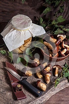 Pile of Imleria Badia or Boletus badius mushrooms commonly known as the bay bolete with canned mushroom in glass jar and knife on