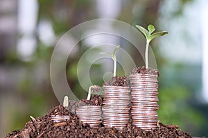 A pile of increasing dollar coins emerged from the soil and sprouts were growing on the coins