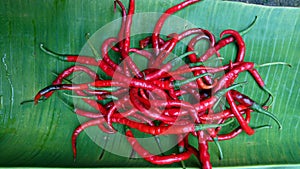 Pile of irregular red chilies on a banana leaf