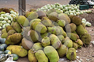 Pile of jackfruit at an Indian market