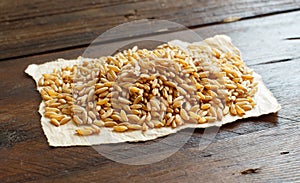 Pile of Kamut grain on wooden background