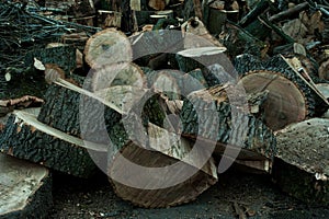 A pile of large logs