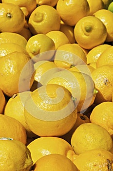 Pile of Lemons