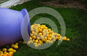 Pile of lemons spilling from a purple vase, decoration in Menton, the city of Lemons, France